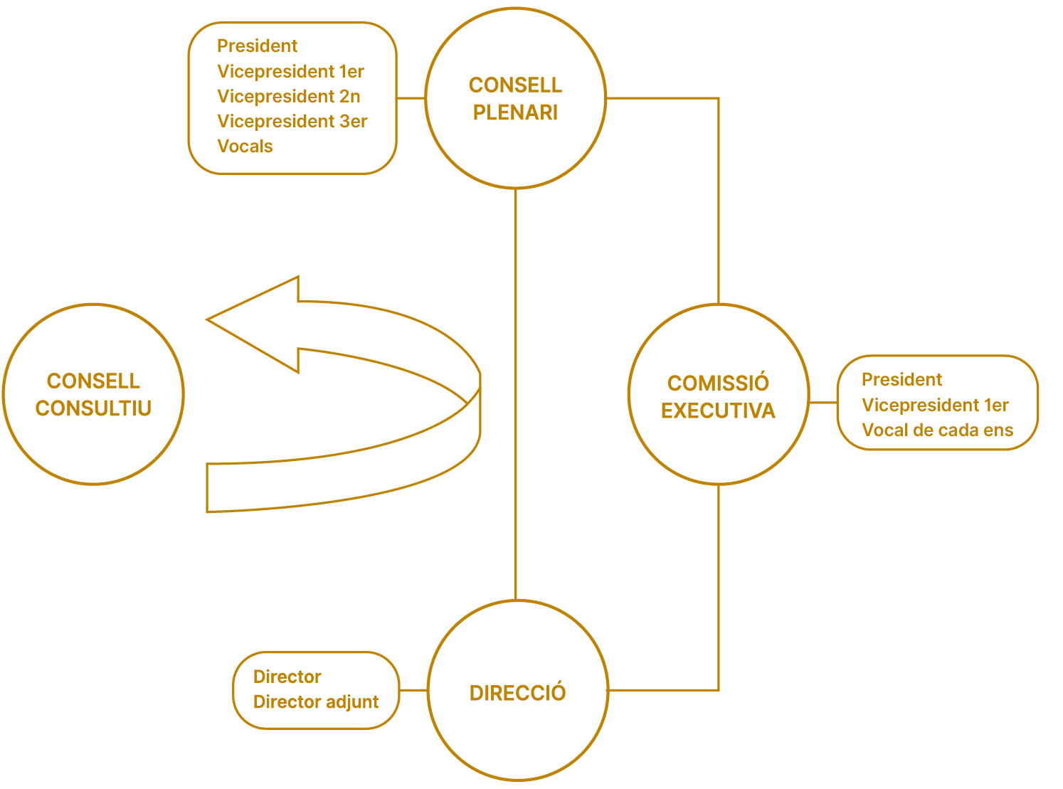 ExempleConsorci_Organigrama_Mesa de trabajo 1 copia 7