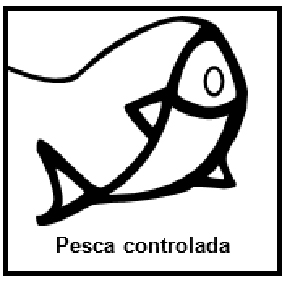 pesca