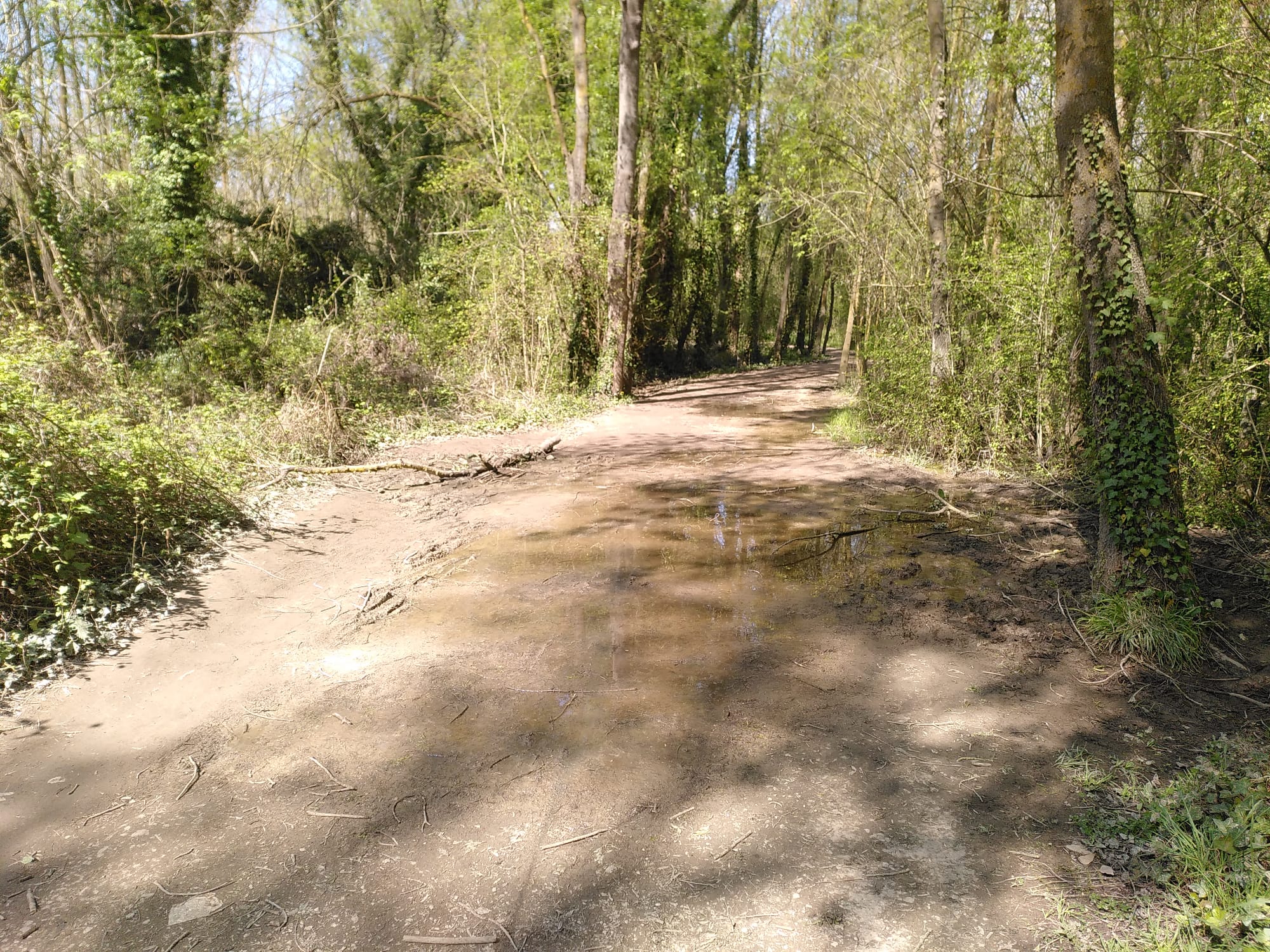 20260321_camidelnord