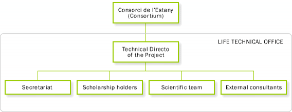 organigrama_oficina_tecnica_en.png